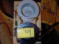 Kolumny tonsil ZG25C - odnowa