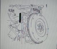 Wymiary śruby blokady wału korbowego Ford Focus 1.6 16v 2004
