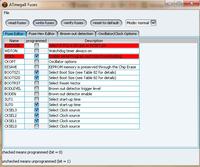 [Atmega8]Programuje się, ale nie pracuje.