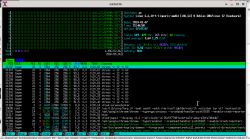 Zrzut ekranu terminala systemu Linux z uruchomionym narzędziem do monitorowania procesów.