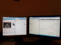 Splitter for two monitors - Can 2 monitors be connected to the splitter?