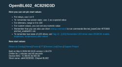 Screenshot of OpenBeken “OpenBL602_4C829D3D” page listing pin start values and a note about Flag 12.