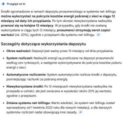 Zrzut ekranu z informacjami o depozycie prosumenckim w systemie net-billing