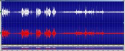 Widok wykresu fali dźwiękowej w edytorze audio.