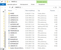MHDD - Błąd command.com is missing or corrupted przy użyciu USBASPI.SYS