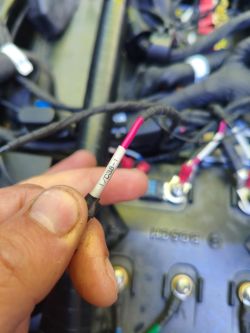 UNU skuter elektryczny - gdzie podłączyć przewody C38 i C39, błąd 12 V?