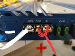 Wzmacniacz Terminator GX-8005 - brak dźwięku mimo prawidłowego podłączenia subwoofera