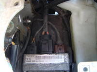 VW Polo 9N 1.4 TDI - VW polo 1.4 TDI Jak się dostać do pompy wspomagania ?