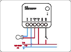 SONOFF MINIR4M Matter and SR-8001A - is the L from the output connected to S2?