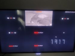 Obraz ekranu z rejestratora CCTV pokazuje podgląd z jednego aparatu, a pozostałe kanały nieaktywny.