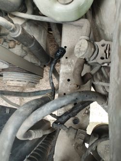 Wnętrze komory silnika Mercedesa z widocznymi kablami i złączkami.