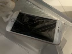 Telefon w woreczku foliowym w lodówce.