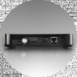 Panel tylny dekodera Netia Evobox 4K z widocznymi portami: antenowym, HDMI, USB, LAN i zasilania DC IN.