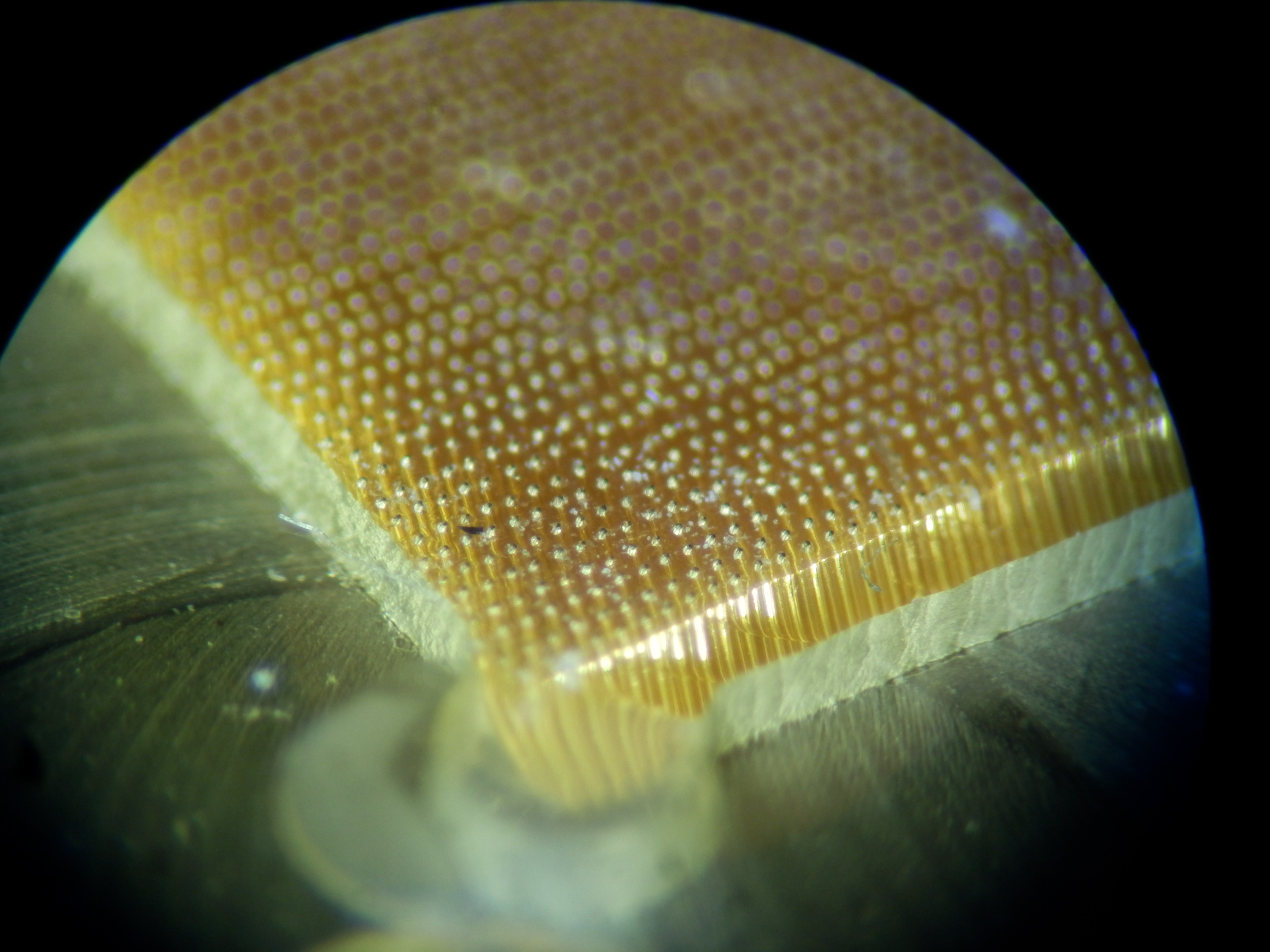 Podstawka pod układy BGA na PCB: nazwa i zastosowanie w fazie projektu