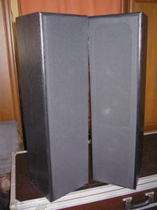 Cóż to za głośnik? YD165-6R70B