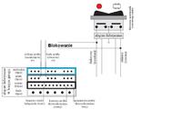 Scenic 1.9dci '00 spięcie oryginalnego c.z. z alarmem