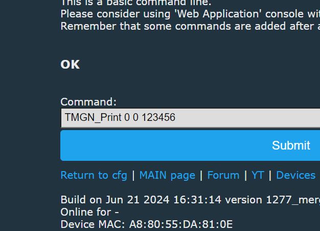 Online Interface for IoT Command Entry Online interface screen for entering commands for IoT devices with the command TMGN_Print.