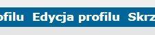 Zrzut ekranu z menu forum z zaznaczoną opcją Edycja profilu