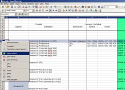 Kliknięte menu kontekstowe arkusza OpenOffice Calc z zaznaczoną opcją „Wstaw wiersze”