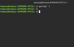 Terminal z komendą 'parted -l' bez wyświetlonego wyniku na ekranie