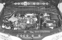 Laguna 2 1.9 Dci Errors: Module Damage, Incorrect Signal Relay 15, UCH Controller Fault