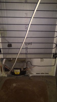 Lodówka AEG Santo - współpraca z regulatorem temperatury Inkbird ITC-308