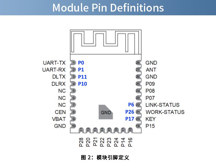 Module Pin Definitions Diagram Diagram of an electronic module with pin definitions and functions for each pin.