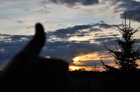 KONKURS!!! "Ciekawe zjawisko meteorologiczne"- Wyniki!