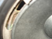 Problem z kolumną "tonsil altus 110"