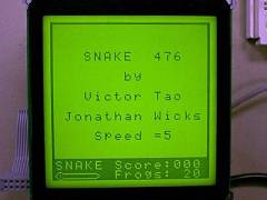 Snake 476