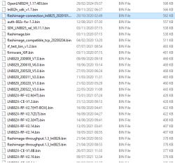 Screenshot of a file list with binary files in a directory.