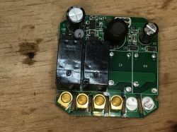 Obwód drukowany z elementami elektronicznymi i dwoma przekaźnikami.