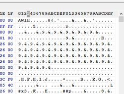 Hex editor view with binary data and ASCII representation.