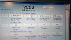 Passat B6 2.0tdi BMP - Jakieś sugestie w sprawie korekcji...