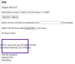 Screenshot of an OTA (Over-The-Air) interface showing information about the BK7231T chipset and file details.
