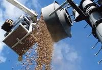 Nietypowy powód awarii - antena wypełniona żołędziami.