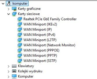 Zrzut ekranu Menedżera urządzeń z widocznymi kartami sieciowymi bez WiFi