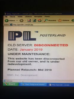 Brak internetu w XP po formacie - brakujące sterowniki