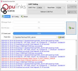 Screenshot of the Opulinks Download Tool showing UART settings and download process logs, with a FLASH_ERASE_ERROR displayed.