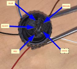 Close-up of a connector with five pins and attached wires of different colors: blue, brown, black, red, and white.