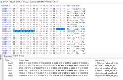 Screenshot of a hex editor showing binary data and their textual representation.