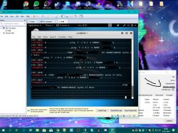 Kali Linux x64-amd w VMware Workstation - problem z pingowaniem IP