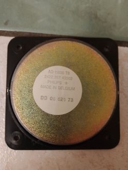 Cóż to za głośnik? YD165-6R70B