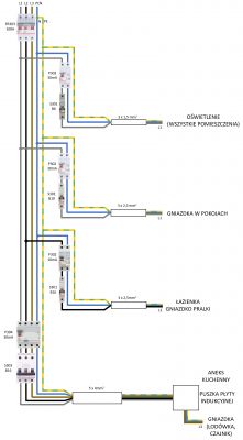 Selecting the Right Differential for an Induction Hob: 11kW 3ph TN-C System & 2x240V Wiring Needs