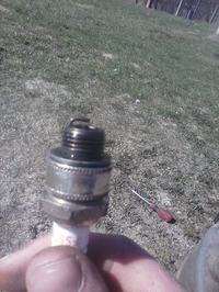 Kosiarka spalinowa, silnik BRIGGS & STRATTON zalewa świecę Kosiarka spalinowa, silnik BRIGGS & STRATTON zalewa świecę