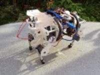 Czworonożny robot sterowany przez tablet + symulator