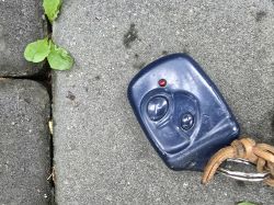 Ciemnoniebieski pilot do bramy z dwoma przyciskami i czerwoną diodą LED na kostce brukowej
