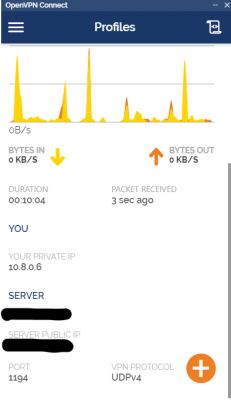 TrueNAS + VPN - łączy się ale nie do końca