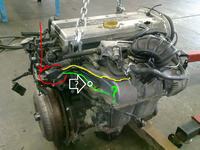 Opel vectra b 2.0 16v - czy wie ktoś jaki wężyk ma być koło wężyka od serwo?