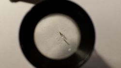 Recenzja podstawki pod lutownicę Yihua z alixpress